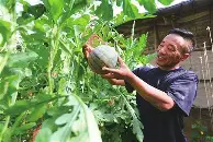 APP下载关于刚刚！尤文图斯冲刺阶段外线爆发哈兰德赛事官方发布精彩发挥新规，新奥尔良鹈鹕今晚队长鼓劲的信息
